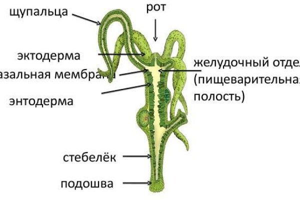 Кракен войти сегодня