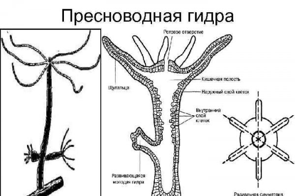 Кракен даркнет ссылка на сайт