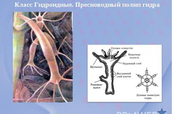 Кракен маркетплейс про